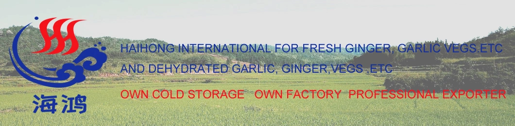 High Quality, Popular Fried Garlic