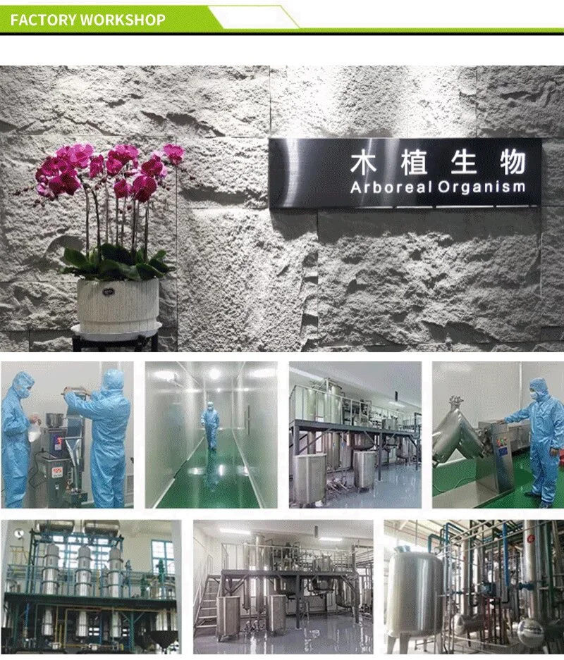 Factory Price Sweetener Monk Fruit Extract Powder Food Grade Luo Han Guo 10: 1 Monk Frui