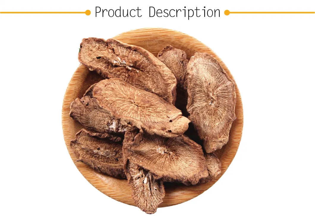 Wholesale High Quality Herbal Tea Chinese Medicinal Materials Wild Organic Dried Burdock Root