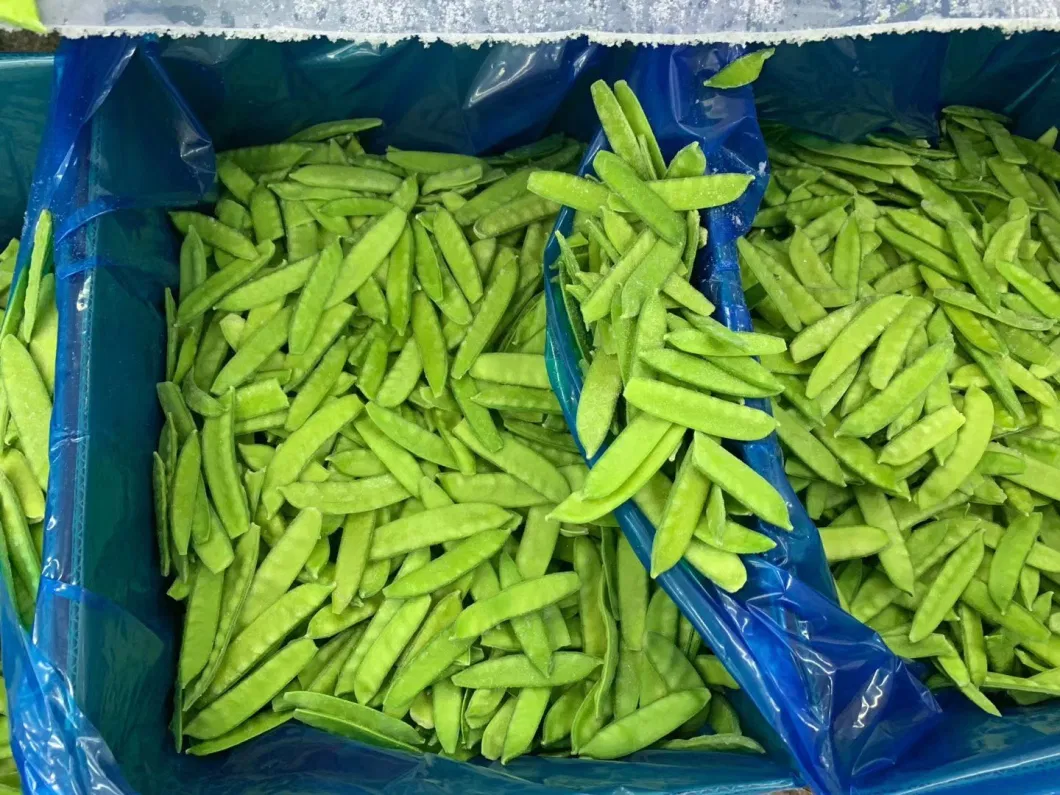 Canned Vegetable Frozen Pea Pods, Snow Peas Sugar Snap Peas